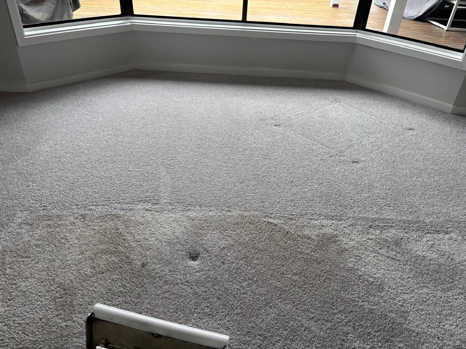 Grey lounge room carpet with a cleaning wand at the front and fresh cleaning lines near bay windows