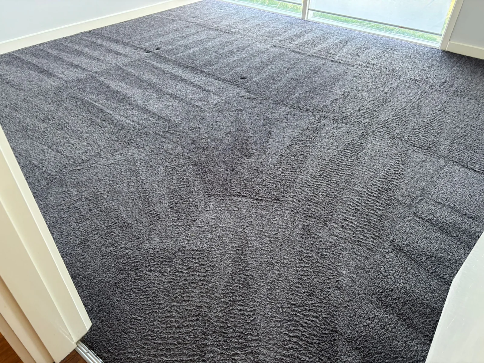 Dark grey carpet in an empty room showing fresh cleaning lines near a window