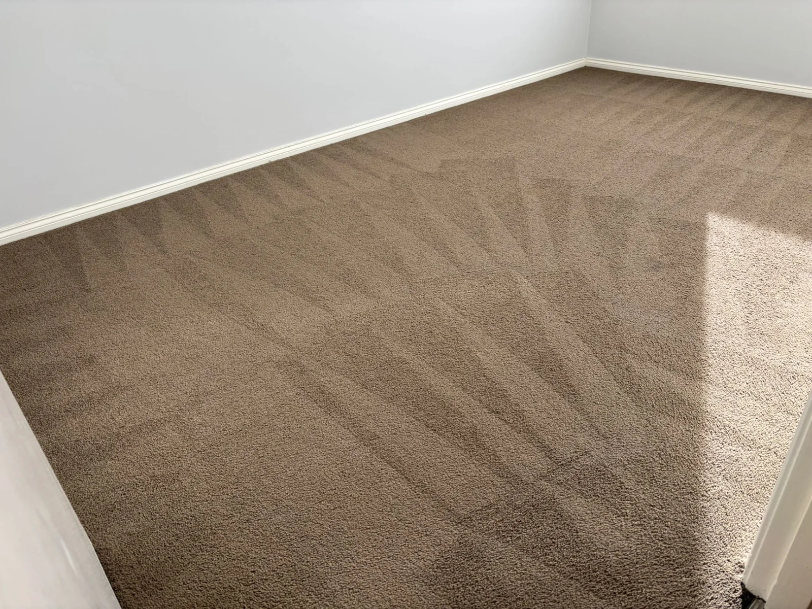Brown carpet in an empty room showing even cleaning lines beside white walls