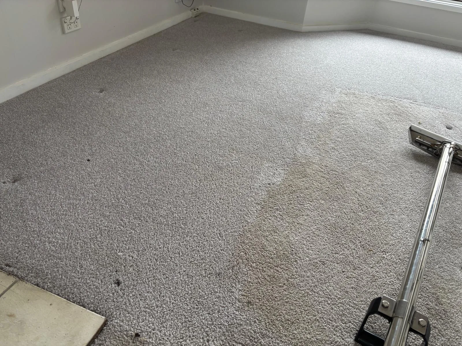 Carpet extraction wand cleaning a grey carpet with a visible cleaned section