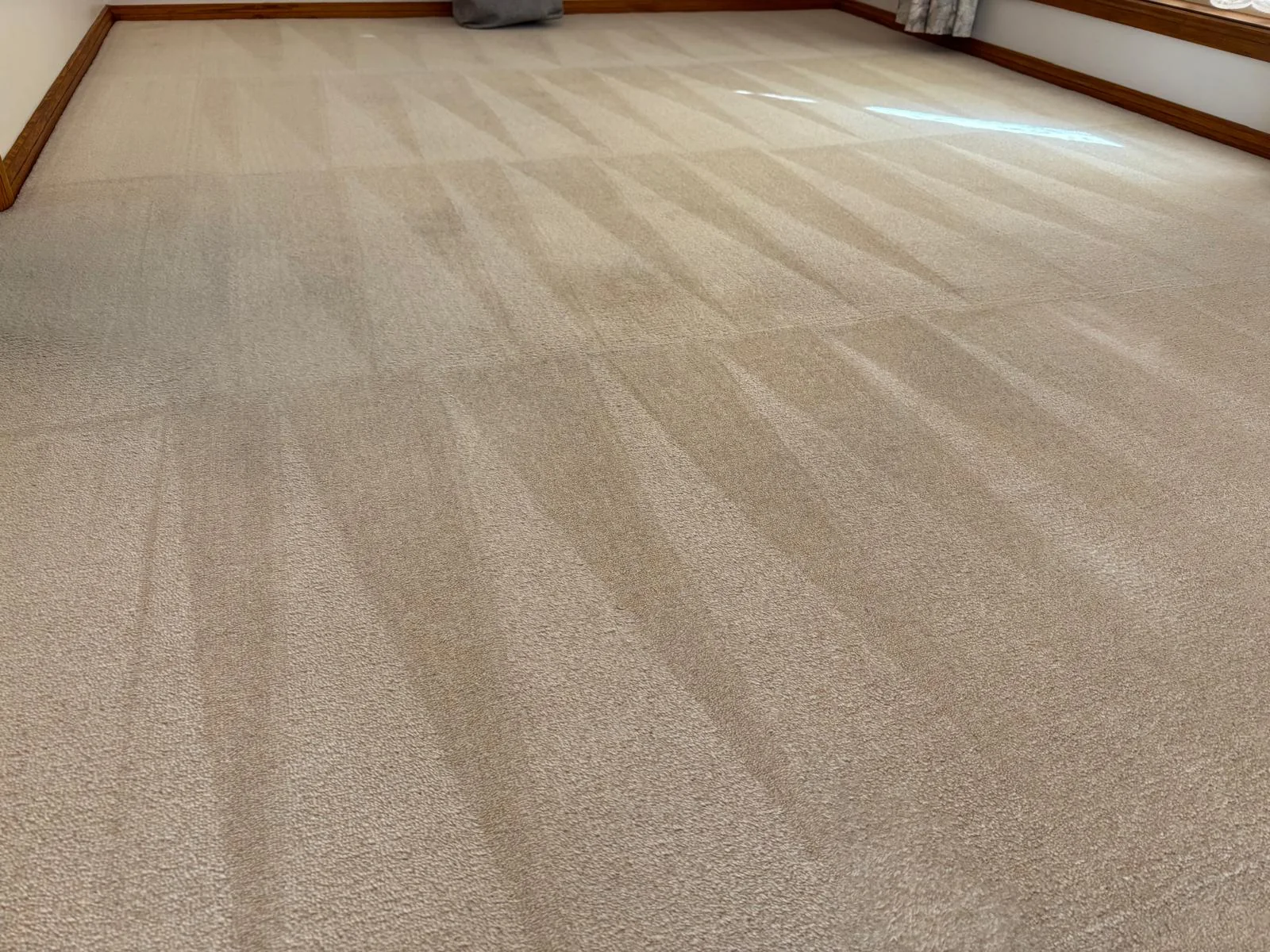 Light-coloured carpet across an empty room showing broad cleaning lines
